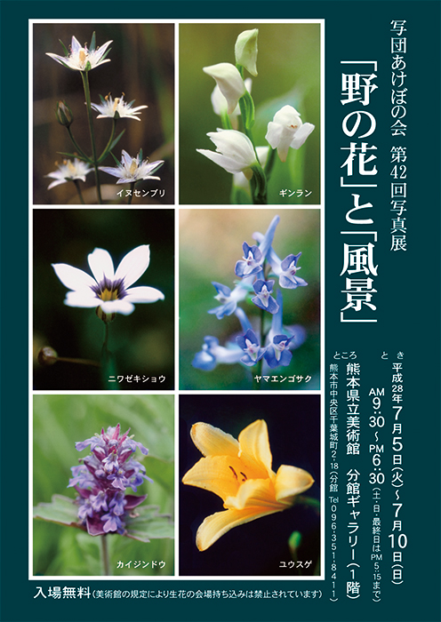 写真展のイベント案内大判ポスター